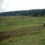 Off Road