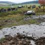 Off Road